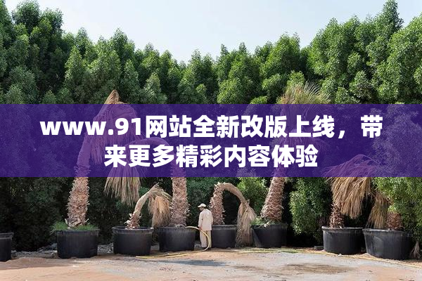 www.91网站全新改版上线，带来更多精彩内容体验