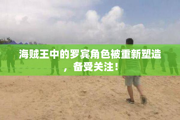 海贼王中的罗宾角色被重新塑造，备受关注！