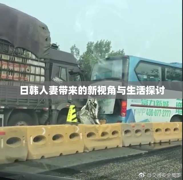 日韩人妻带来的新视角与生活探讨