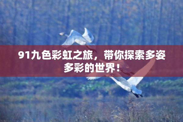 91九色彩虹之旅，带你探索多姿多彩的世界！
