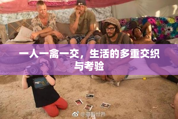 一人一禽一交，生活的多重交织与考验
