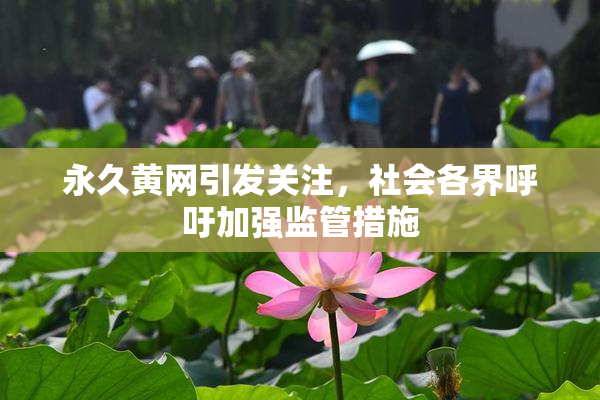 永久黄网引发关注，社会各界呼吁加强监管措施
