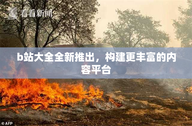 b站大全全新推出，构建更丰富的内容平台
