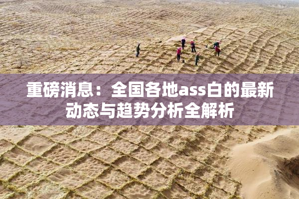 重磅消息：全国各地ass白的最新动态与趋势分析全解析
