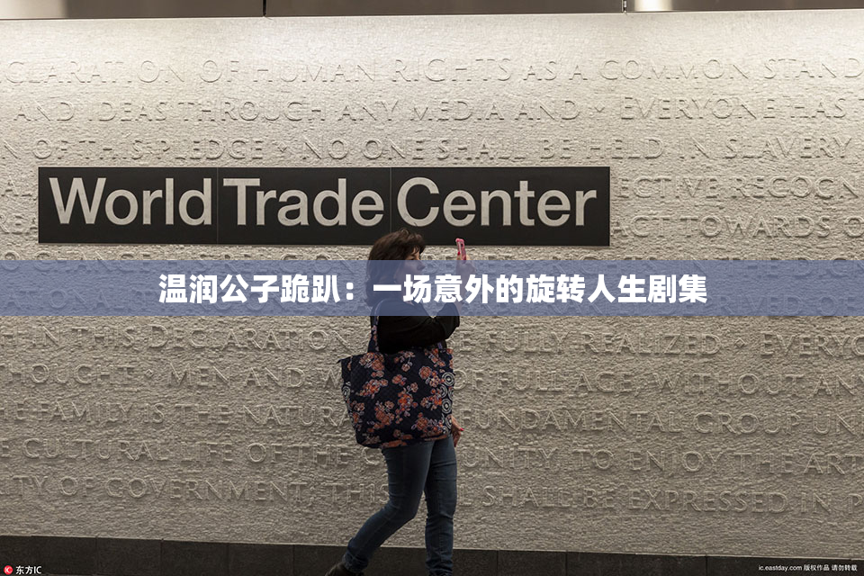 温润公子跪趴：一场意外的旋转人生剧集