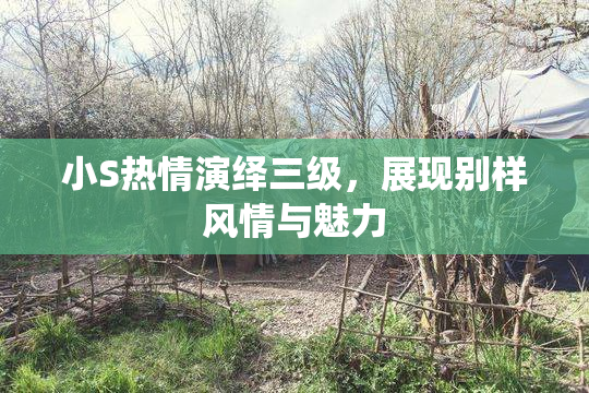 小S热情演绎三级，展现别样风情与魅力