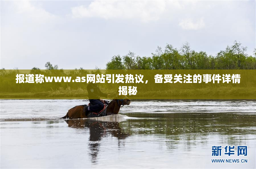 报道称www.as网站引发热议，备受关注的事件详情揭秘