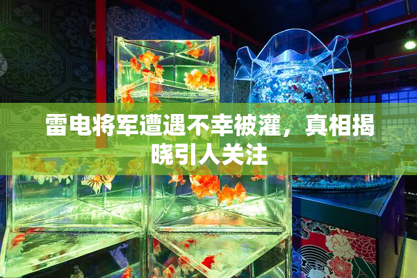 雷电将军遭遇不幸被灌，真相揭晓引人关注