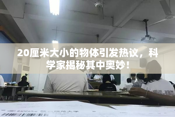 20厘米大小的物体引发热议，科学家揭秘其中奥妙！