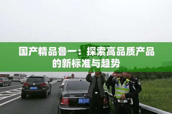 国产精品鲁一：探索高品质产品的新标准与趋势
