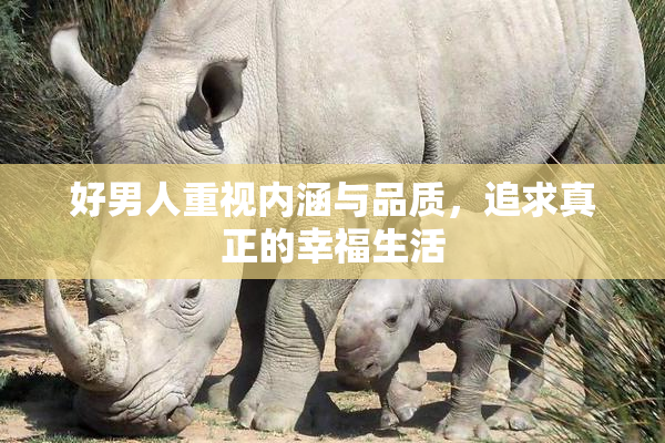 好男人重视内涵与品质，追求真正的幸福生活