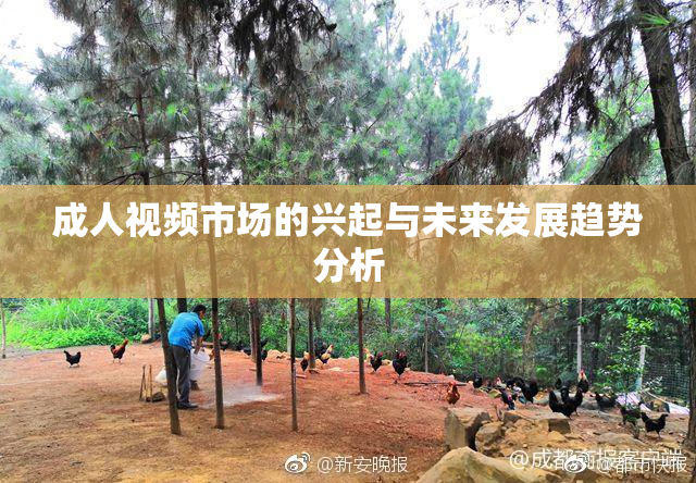 成人视频市场的兴起与未来发展趋势分析