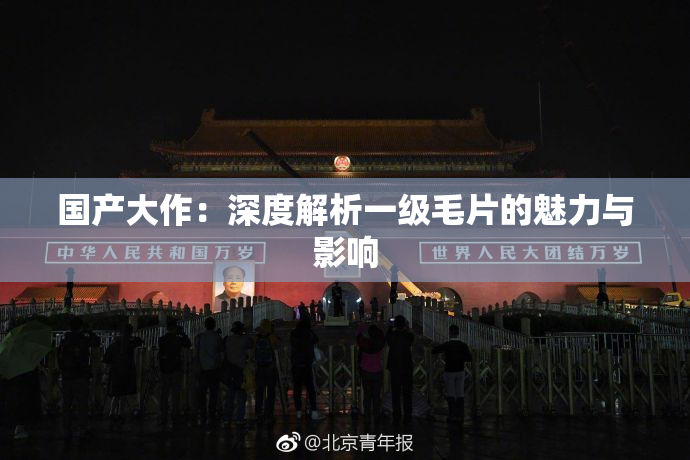 国产大作：深度解析一级毛片的魅力与影响