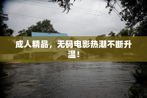 成人精品，无码电影热潮不断升温！