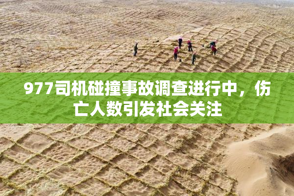 977司机碰撞事故调查进行中，伤亡人数引发社会关注