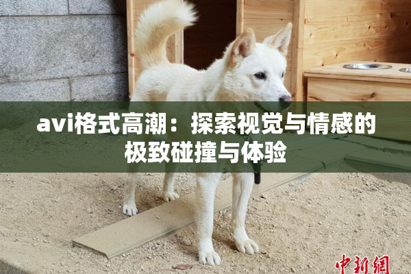 avi格式高潮：探索视觉与情感的极致碰撞与体验