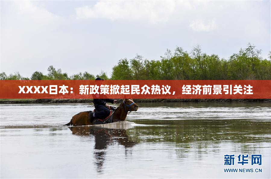 XXXX日本：新政策掀起民众热议，经济前景引关注