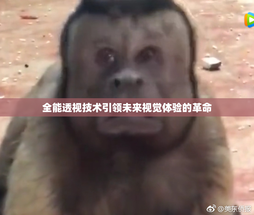 全能透视技术引领未来视觉体验的革命