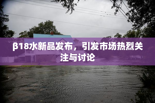 β18水新品发布，引发市场热烈关注与讨论