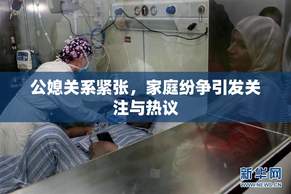 公媳关系紧张，家庭纷争引发关注与热议