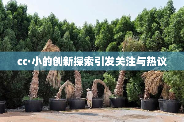 cc·小的创新探索引发关注与热议