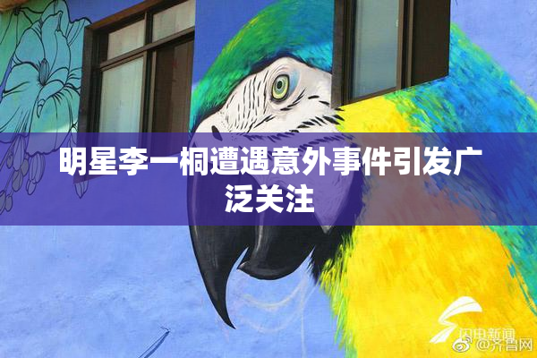 明星李一桐遭遇意外事件引发广泛关注
