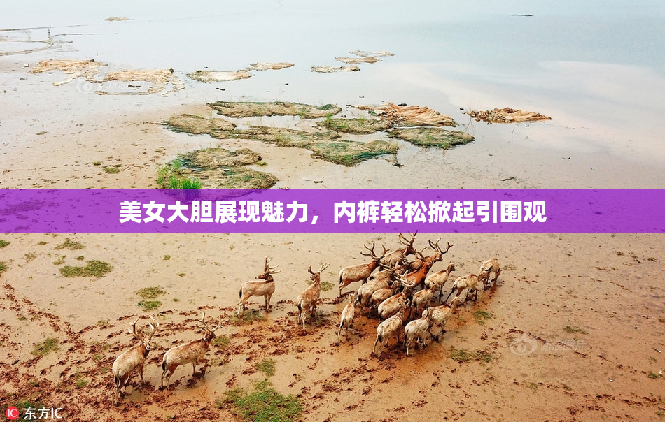 美女大胆展现魅力，内裤轻松掀起引围观