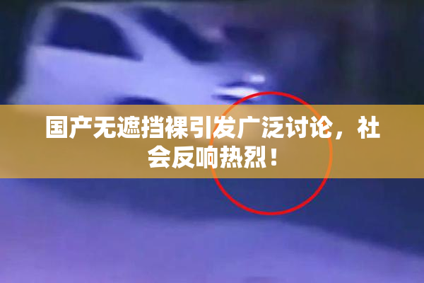 国产无遮挡裸引发广泛讨论，社会反响热烈！
