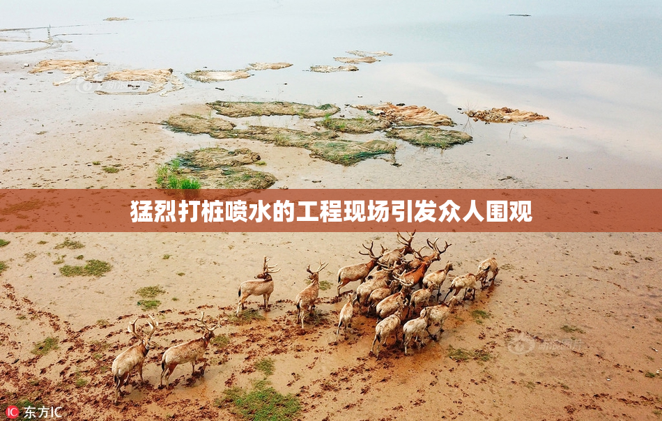 猛烈打桩喷水的工程现场引发众人围观