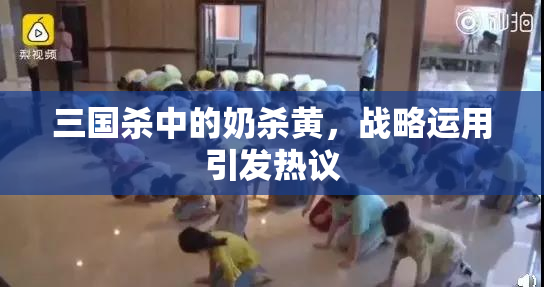 三国杀中的奶杀黄，战略运用引发热议