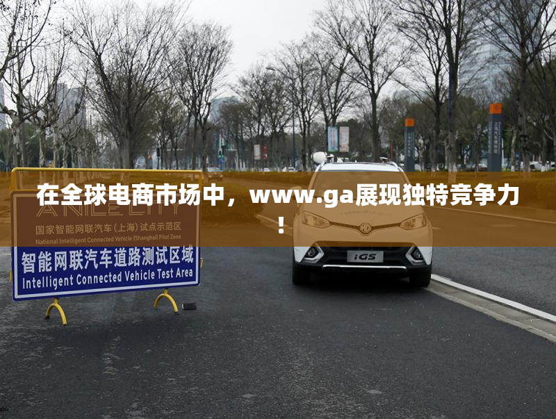 在全球电商市场中，www.ga展现独特竞争力！