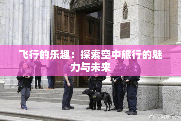 飞行的乐趣：探索空中旅行的魅力与未来