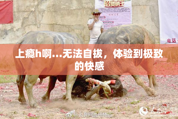 上瘾h啊…无法自拔，体验到极致的快感