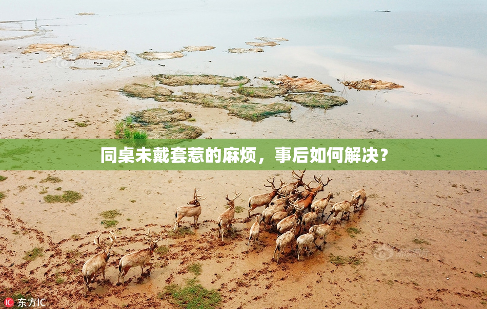 同桌未戴套惹的麻烦，事后如何解决？