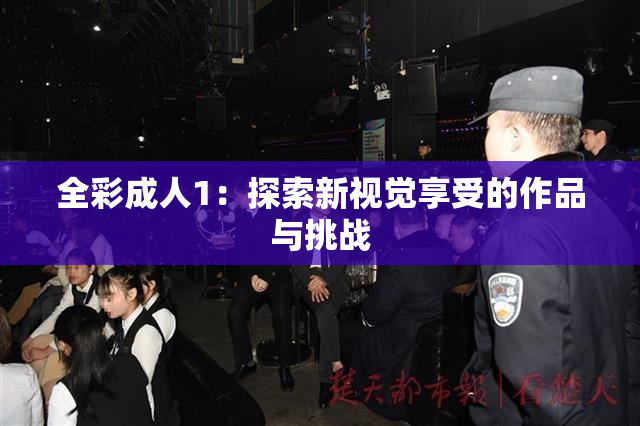 全彩成人1：探索新视觉享受的作品与挑战