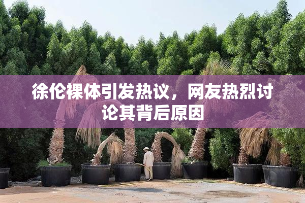 徐伦裸体引发热议，网友热烈讨论其背后原因