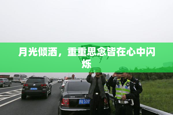 月光倾洒，重重思念皆在心中闪烁