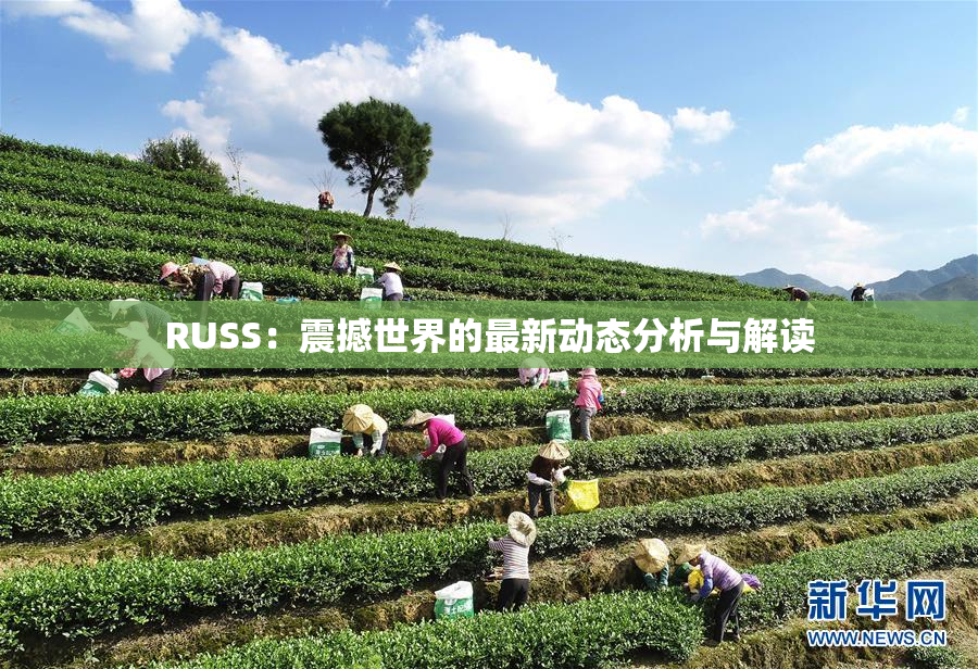 RUSS：震撼世界的最新动态分析与解读