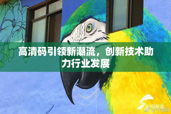 高清码引领新潮流，创新技术助力行业发展
