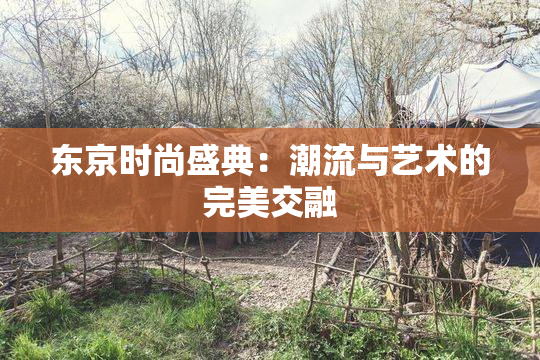 东京时尚盛典：潮流与艺术的完美交融