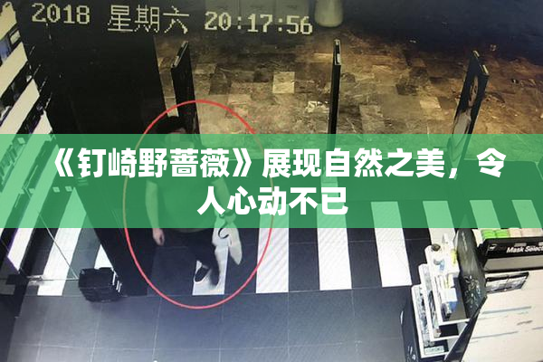 《钉崎野蔷薇》展现自然之美，令人心动不已