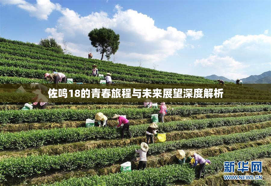 佐鸣18的青春旅程与未来展望深度解析