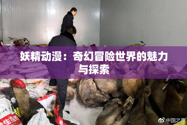 妖精动漫：奇幻冒险世界的魅力与探索