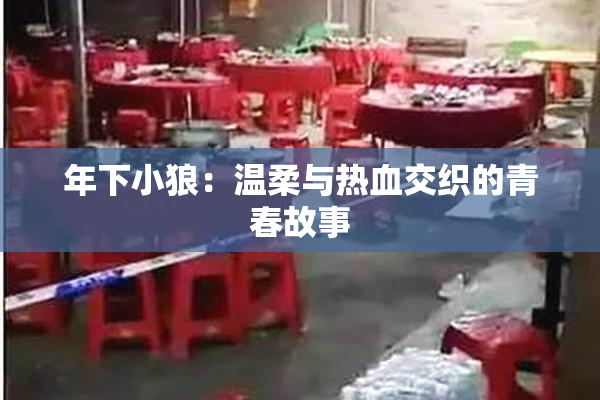 年下小狼：温柔与热血交织的青春故事