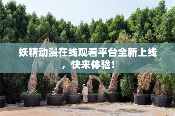 妖精动漫在线观看平台全新上线，快来体验！
