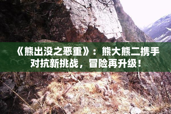 《熊出没之恶重》：熊大熊二携手对抗新挑战，冒险再升级！