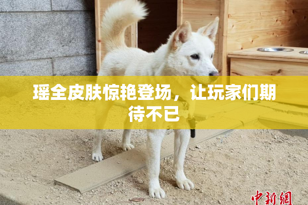 瑶全皮肤惊艳登场，让玩家们期待不已