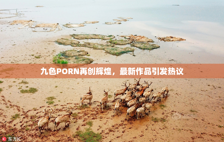 九色PORN再创辉煌，最新作品引发热议