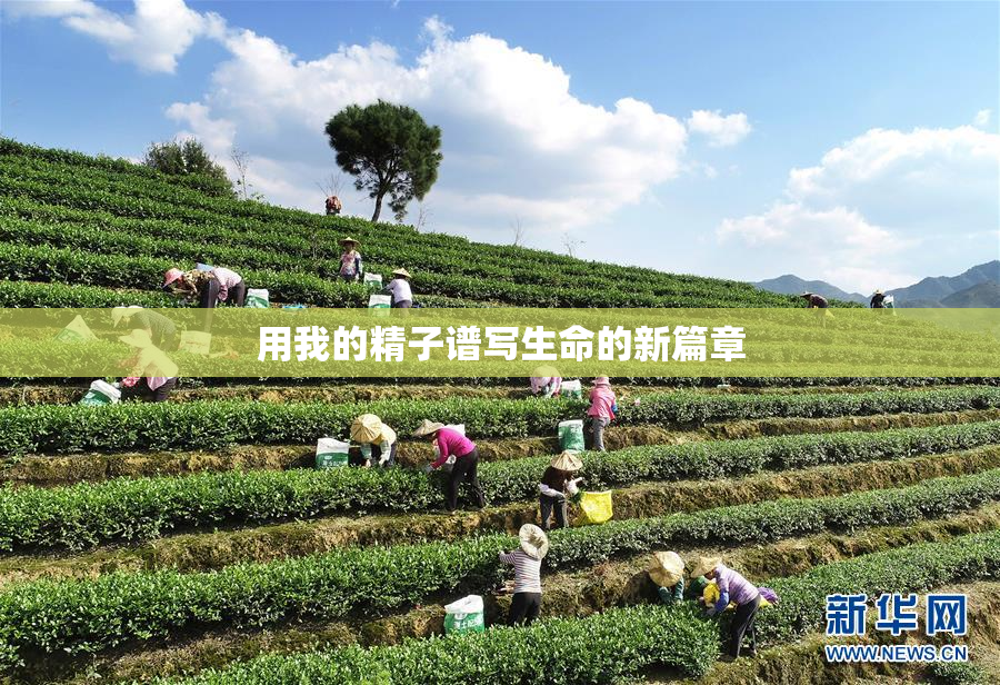 用我的精子谱写生命的新篇章