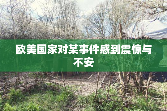 欧美国家对某事件感到震惊与不安